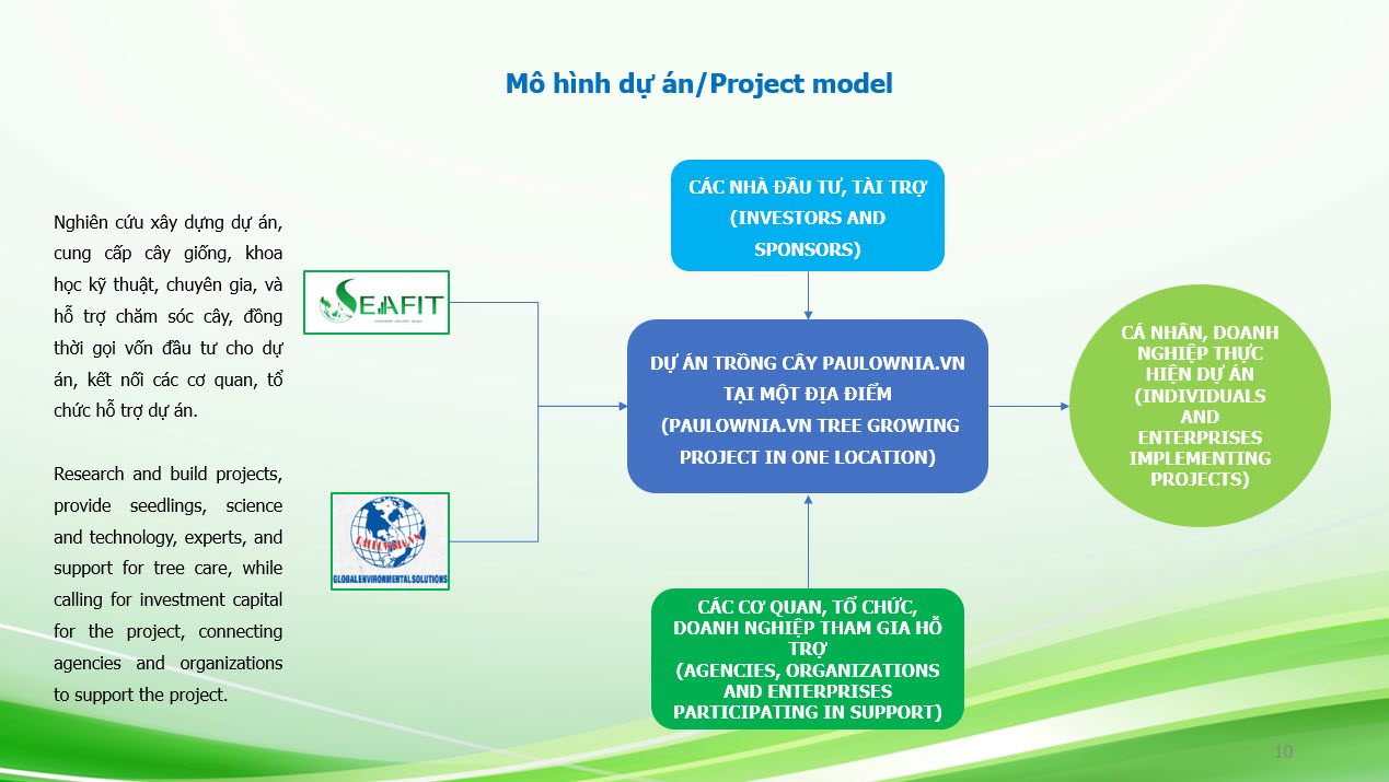 Du An Paulowina Vn Seafit 10